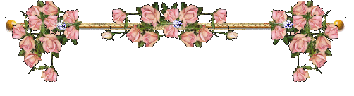 176E954D4FE3BF68097B00