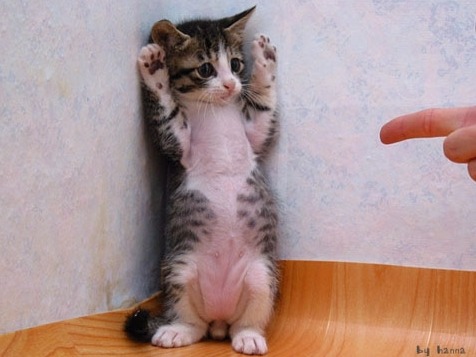 177BFB4E4E05EE3C2226BF