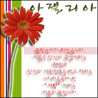 ノ∞… ··ㅡ삶의 잔잔한 幸福ㅡ