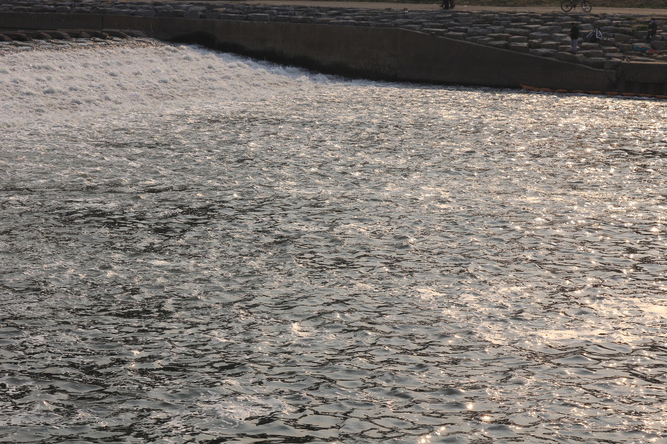 봄이오는 양재천