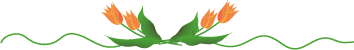 187546434F704F9C124340