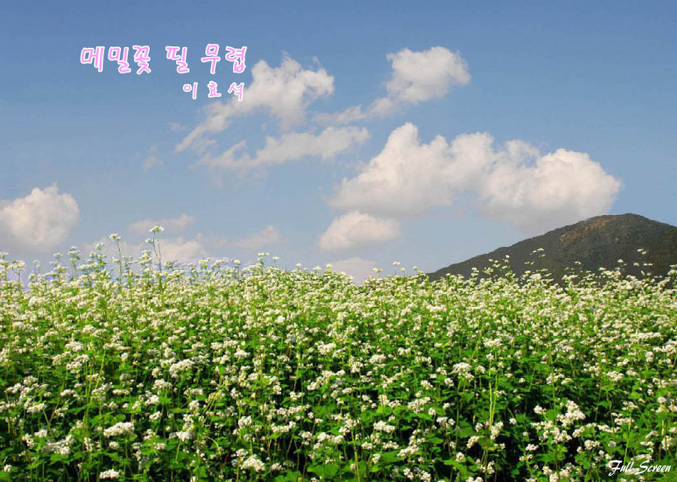 메밀꽃필무렵 이미지