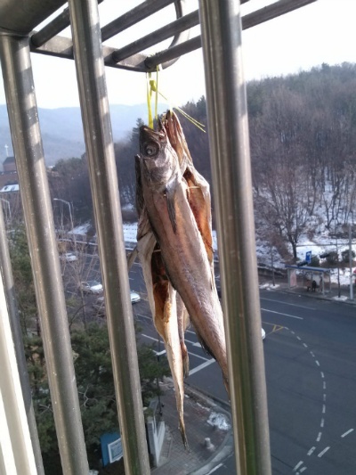 황태 덕장 흉내내기