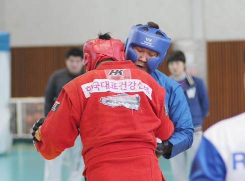 삼보 이미지