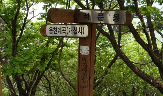 지금가야산 이미지