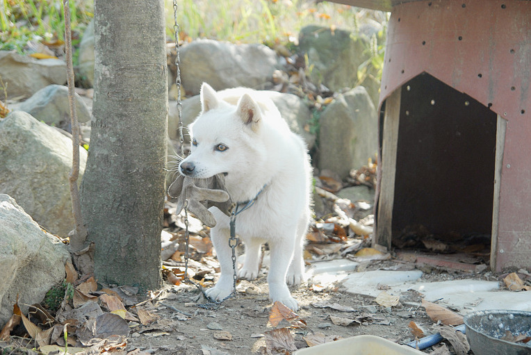 화산골산장 이미지