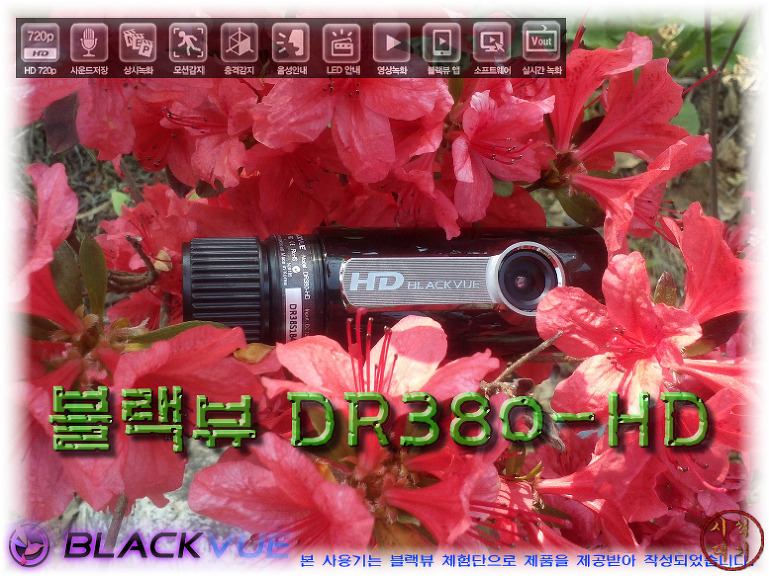 달자 이미지