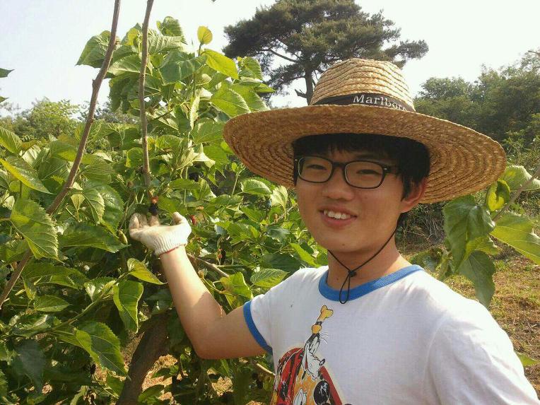 정읍 내장산의고장 의따스한햇빛아래오디가맛있게익어가고있습니다