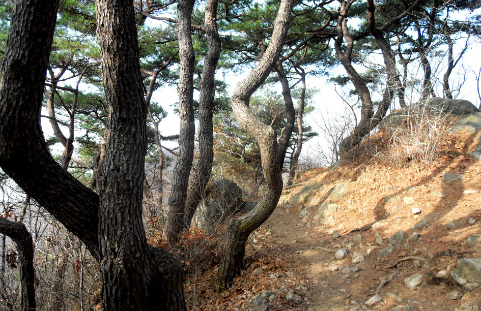 무성산 이미지