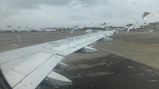 [인도네시아(Java, Bali) 배낭여행] 제11부(完) : Bogor 식물원, 그리고 집으로