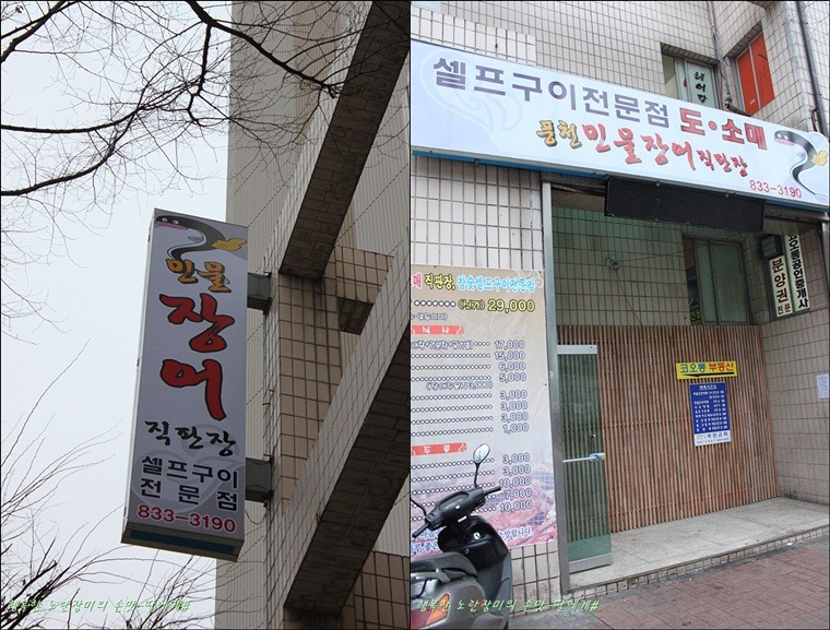 풍천민물장어 이미지