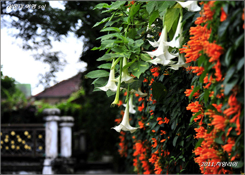 207BEF3C4D81BA66292603