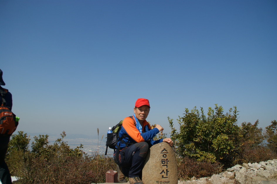 엄광산 ~ 구덕산 ~ 승학산(14.10.18 (토)) 억새