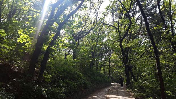 하단 '에덴공원' 에서 가볍게 산책하고 왔어요~
