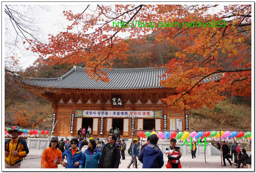 만추의 내장사 단풍여행