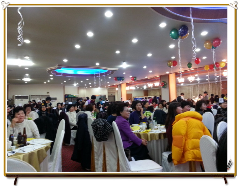 225DF84752B65B77274B52