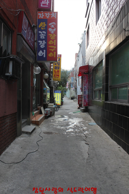 사리원 이미지