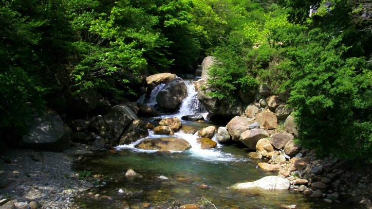 232DE444572DB19F1472CA