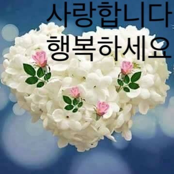 글 사진 