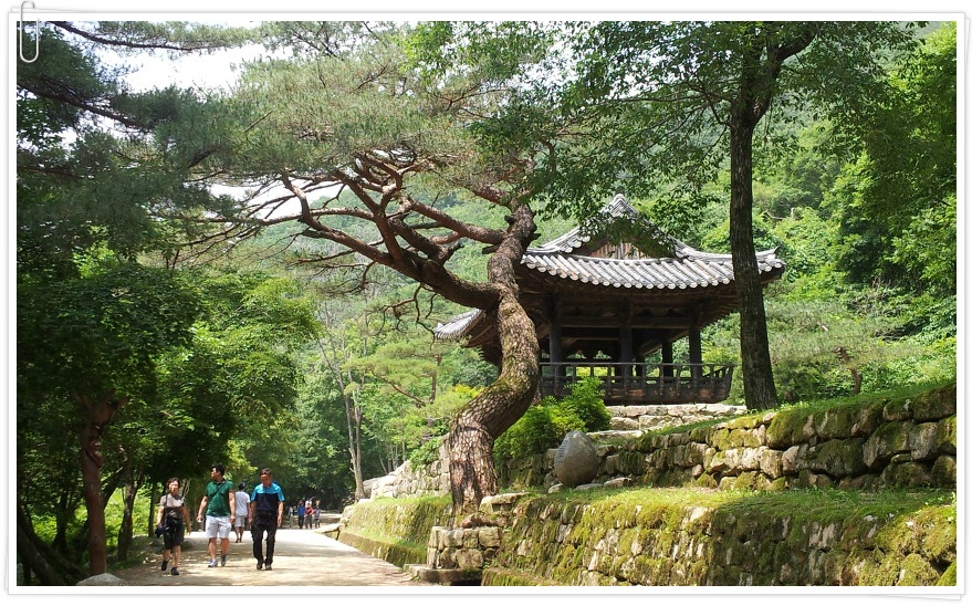 [문경 가볼만한 곳/ 문경여행] 문경새재 과거길(옛길)
