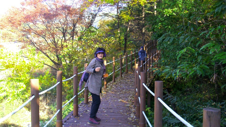 237DDF49544B852F0FEAA9