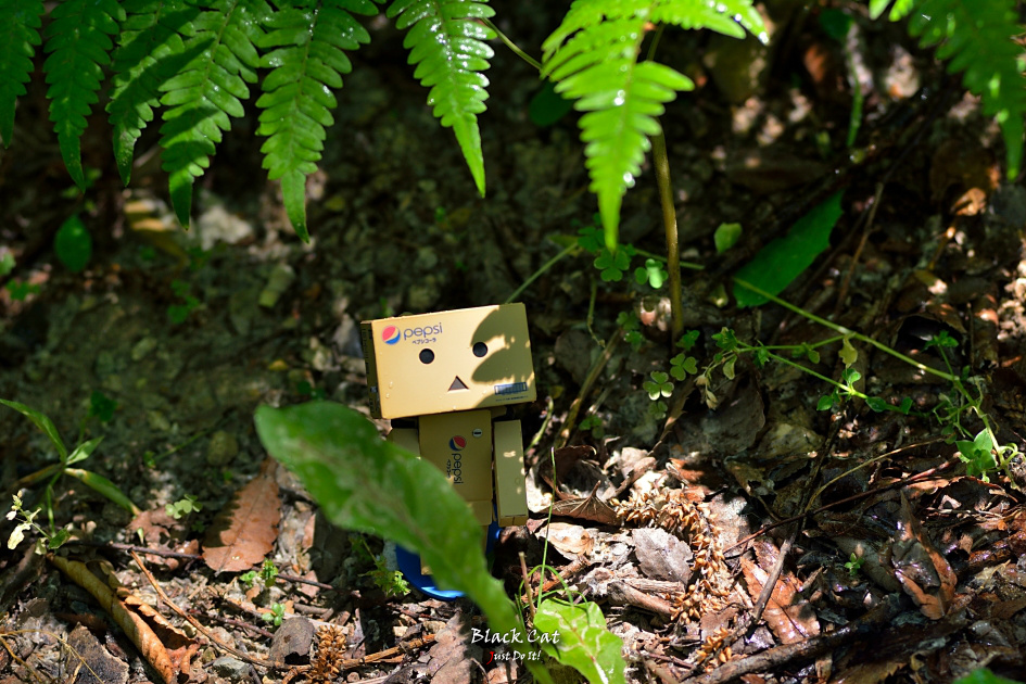 함께걸을까(Andante 110)-대구수목원