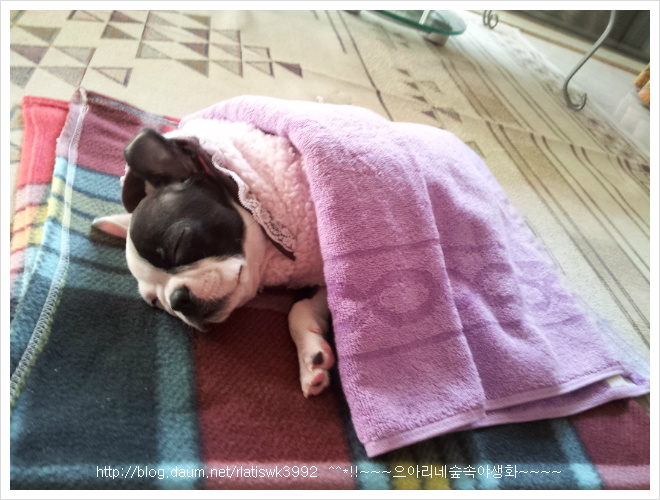 우리인사 이미지