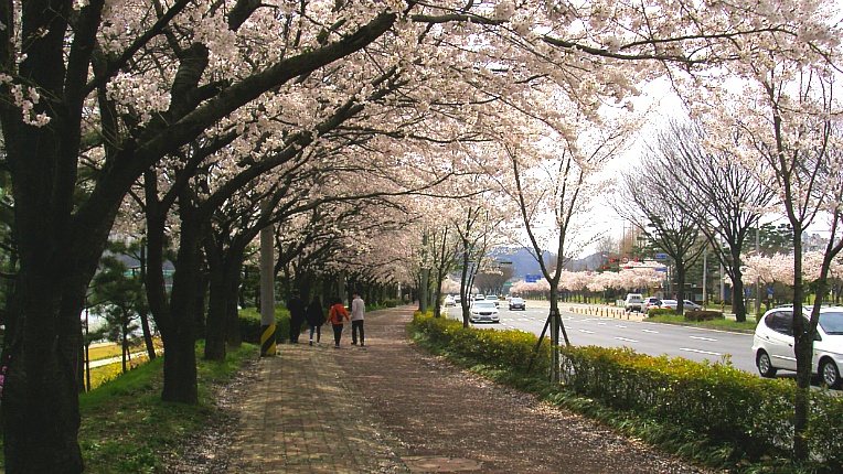 24738C39551E37FF12198A