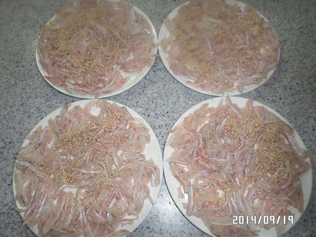 2477813E541B5BB52F01BB