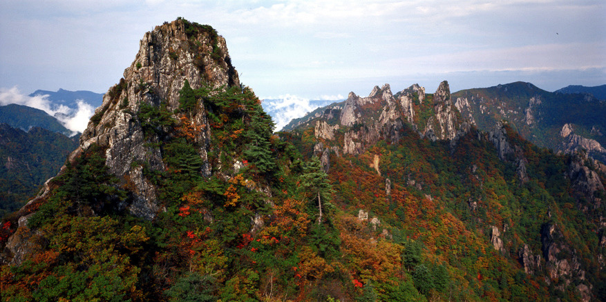 설악산단풍