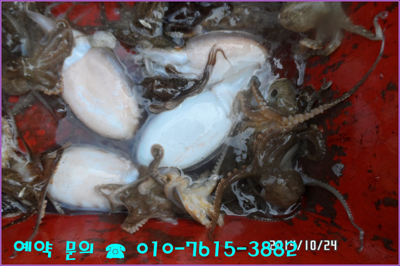 25216B36544A3BCF1A633C