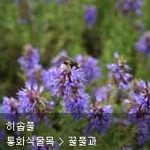 꽃이름 찾기