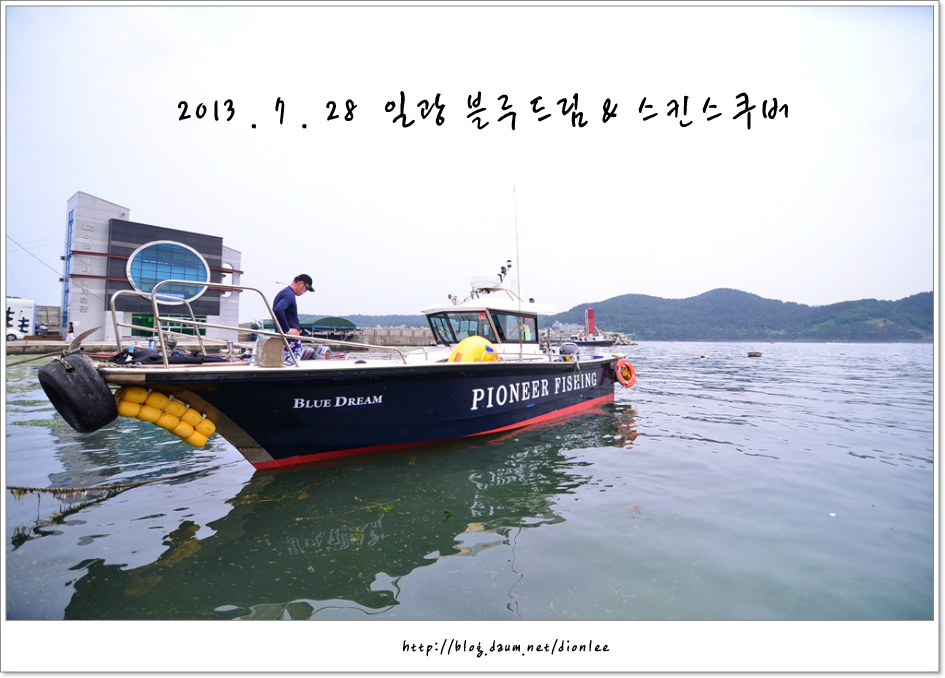 블루드림 이미지