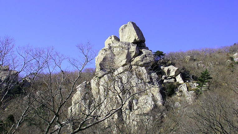 2554884A54B100602F9CD6