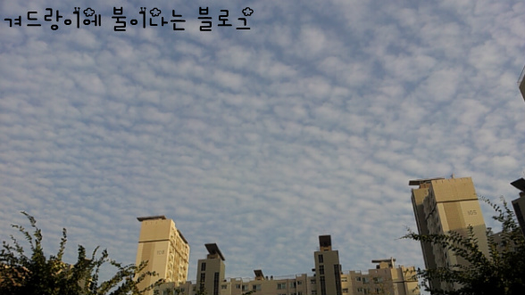 기욤 뮈소 - [당신,거기 있어줄래요?] 를 읽고