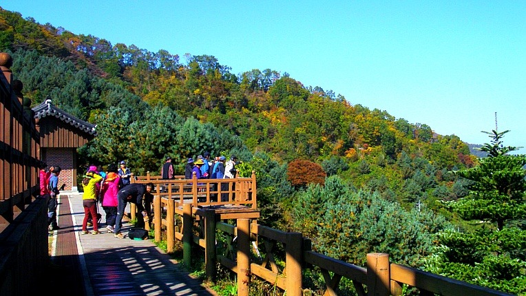 260FF541526D23292ECEEF