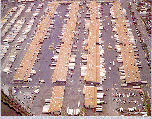 한인밤의 인연 – 미국대학생활