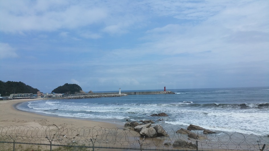 그리움