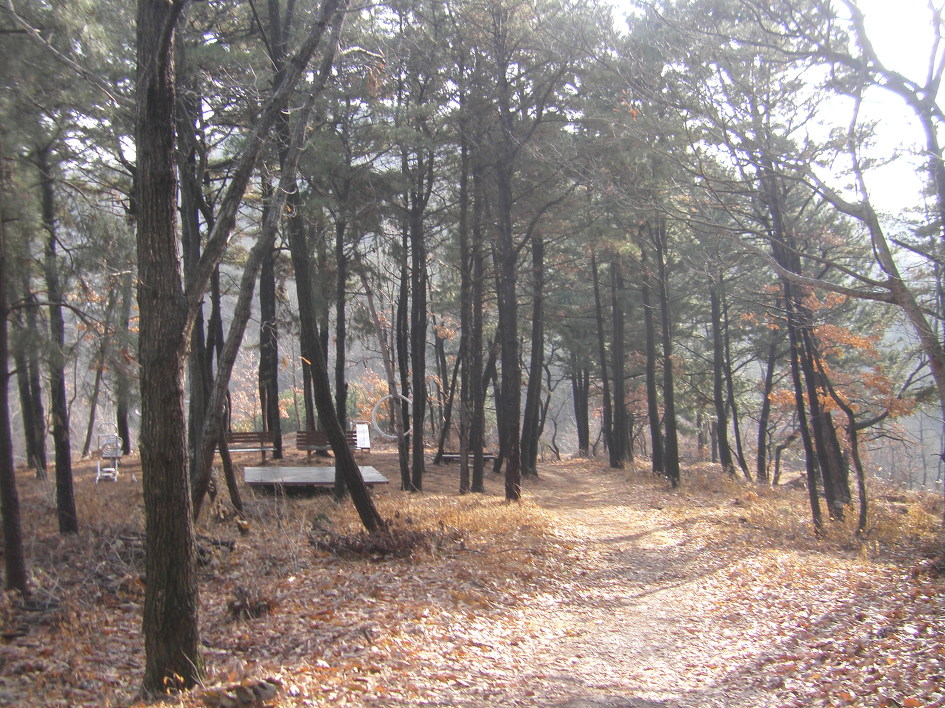 김해 금병산-응봉산