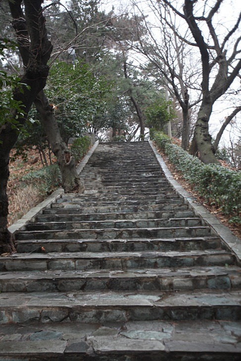 피라칸사스=피라칸타