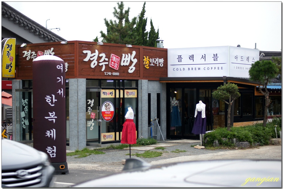 경주 동부사적지로의 산책 / 닥스훈트 요롱이 최고의 날