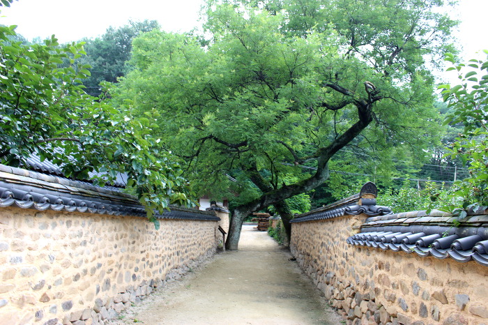 나무대문 이미지