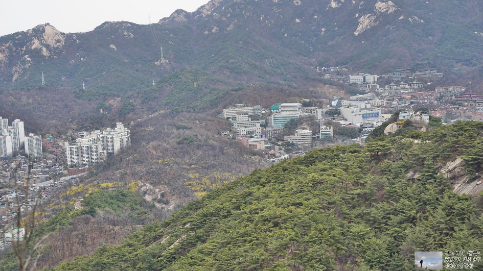 서대문,안산 & 인왕산...개나리,진달래가 흐드러지게 피어있고~
