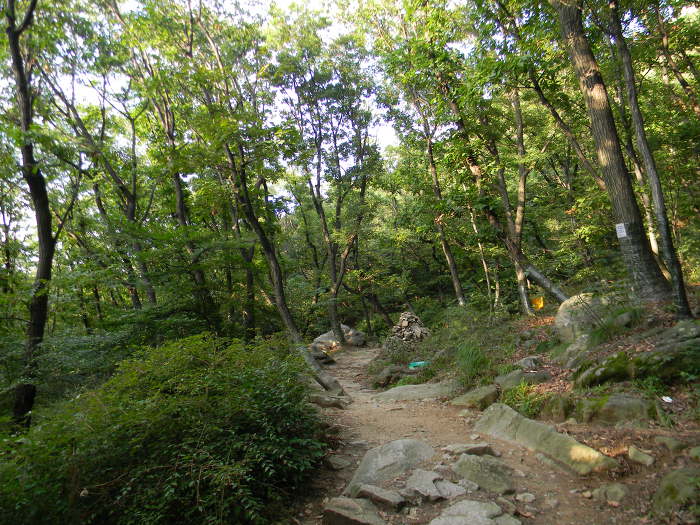호암산 신선길과 금천구의 오랜 피서지 시흥계곡 (시흥계곡 장승, 서울둘레길5코스)
