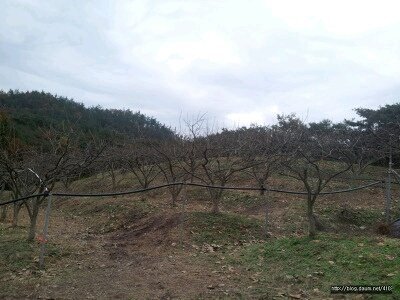 겨울을 기다리는 산기슭 농원