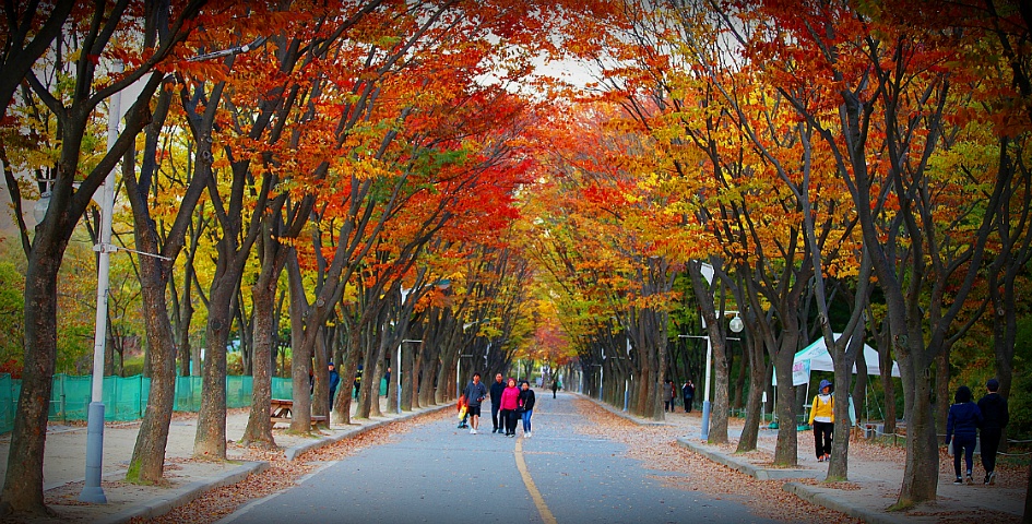 만추의 풍경
