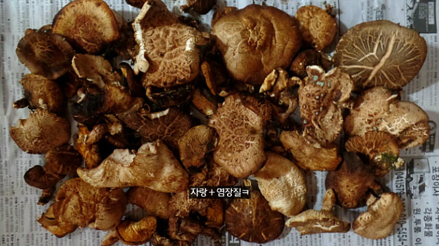 절터봉 이미지