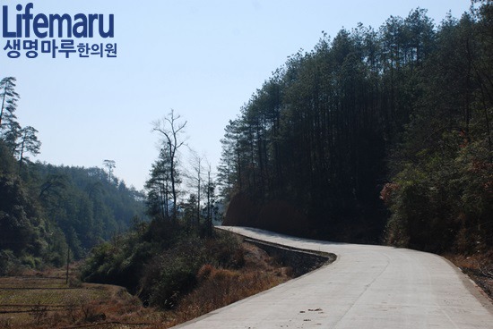 [조원동/신사동/난곡동/미성동] 외상없는 가벼운 교통사고라도 방치는 금물!