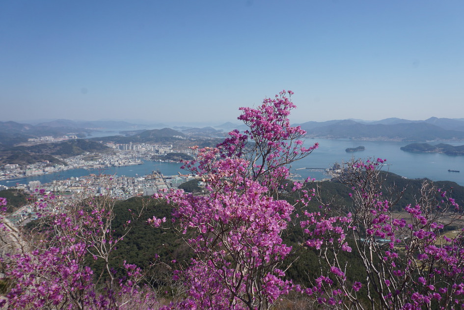 남쪽 여행