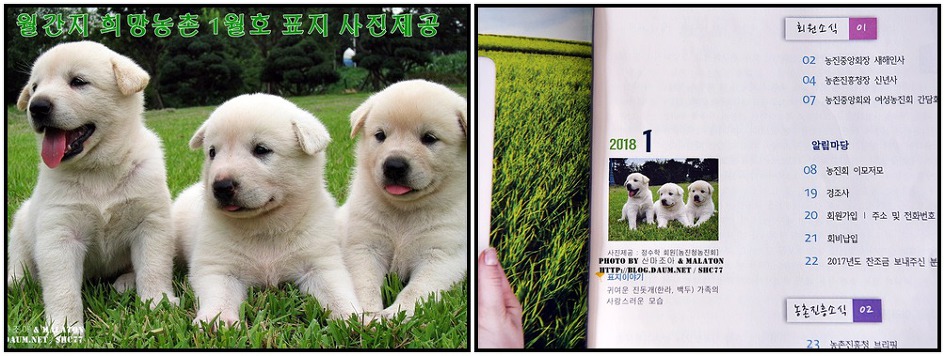 농진중앙회 희망농촌 2019년 3월호 표지 사진제공